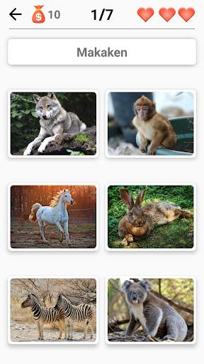 Säugetiere - Lernen Sie alle Tiere im Foto-Quiz! screenshot 2