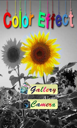 Color Splash Effect : Touch screenshot 6