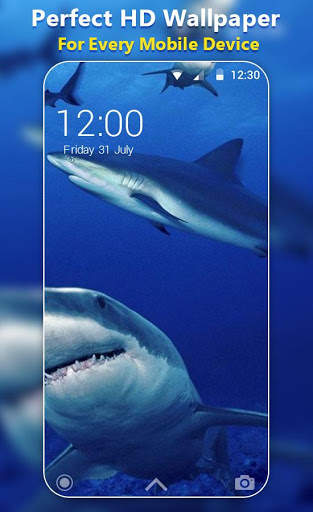 Shark Live Wallpaper screenshot 1