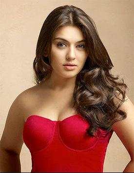 Hansika screenshot 2