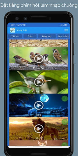Tiếng Chim Hót screenshot 1