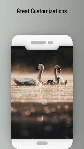 Love bird Live wallpaper screenshot 6