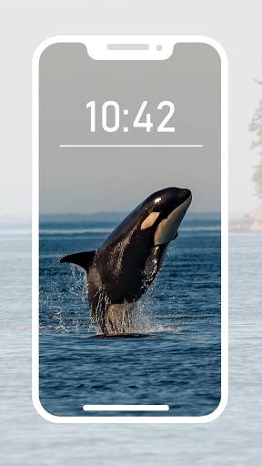 Orca Wallpapers screenshot 7