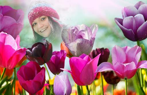 Tulips Photo Frames screenshot 3