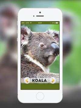 Animal & Birds Sound for kids screenshot 8