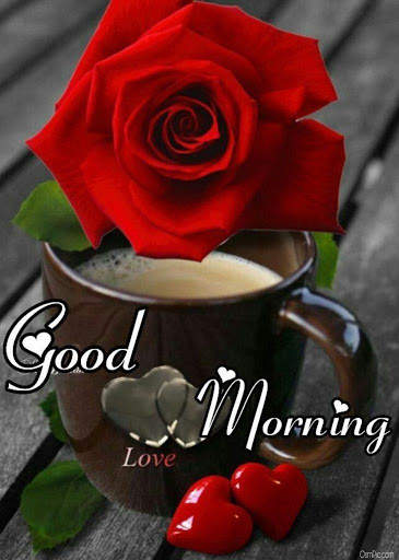 Good morning Flower Wallpapers Colorful Roses 4K screenshot 6