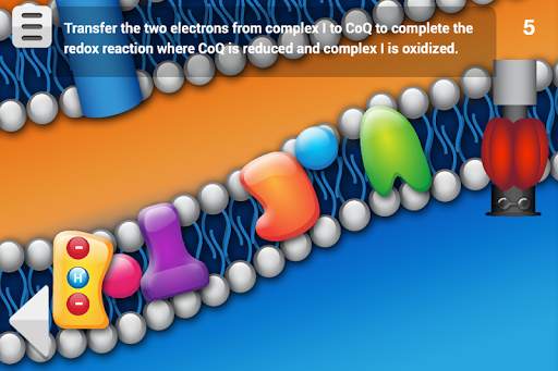 Biology Cellular Respiration screenshot 4