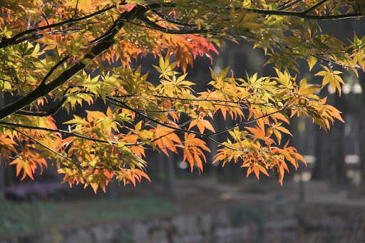China Wallpaper Travel screenshot 15