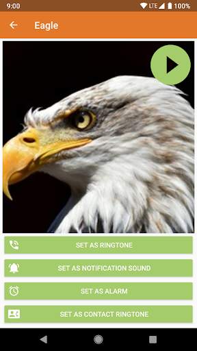 Animal Ringtones & Sounds screenshot 3