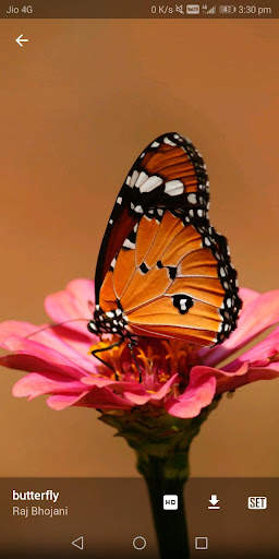 Wallpaper Go screenshot 2