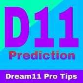 Dream11 Pro Tips & Prediction 1.0