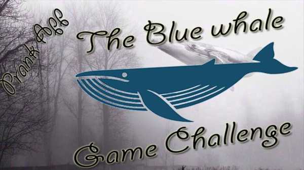 Blue whale Challenge Game Prank screenshot 2