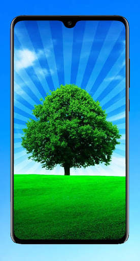 Tree Wallpaper 4K screenshot 7