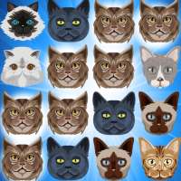 Cat Pop icon