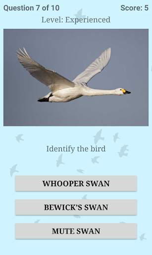 British Birds ID Quiz Pro screenshot 6