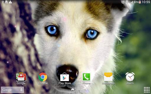 Dogs Wallpaper screenshot 9