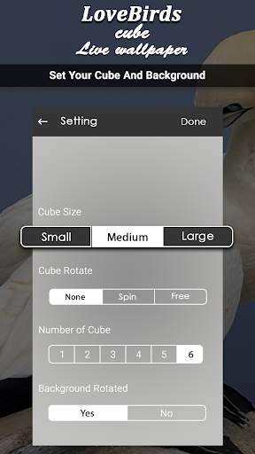Love Bird cube live wallpaper screenshot 5