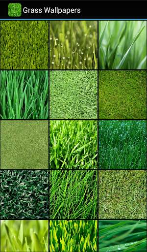Grass Wallpapers 2 تصوير الشاشة