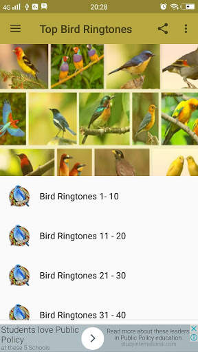 Top Bird Ringtones screenshot 1