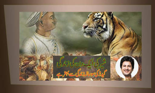 Tipu Sultan Photo Frame скриншот 2