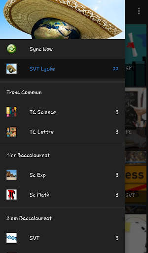 SVT Lycee Français screenshot 3