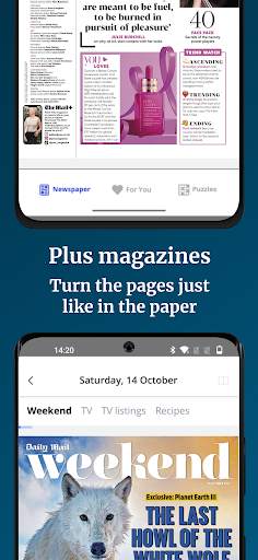 Daily Mail Newspaper screenshot 2