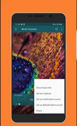Birds Sounds Ringtones & Wallpapers HD - OFFLINE screenshot 3