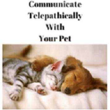 animal communication screenshot 3