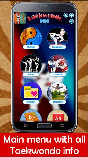 Taekwondo Pro screenshot 1