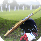 C for Cricket icon