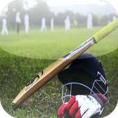 C for Cricket logo