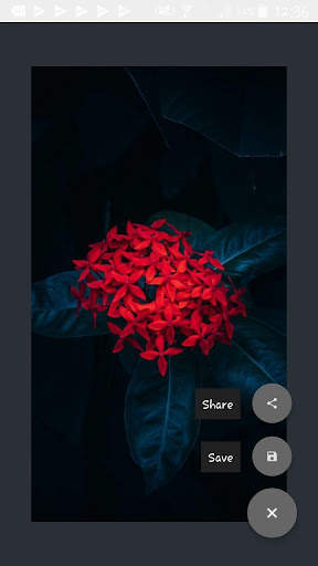 HD Wallpapers Offline screenshot 8