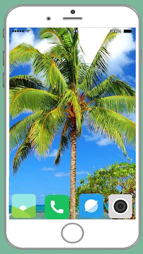 Palm Tree Full HD Wallpaper screenshot 3