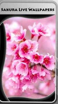 Sakura Live Wallpapers screenshot 1