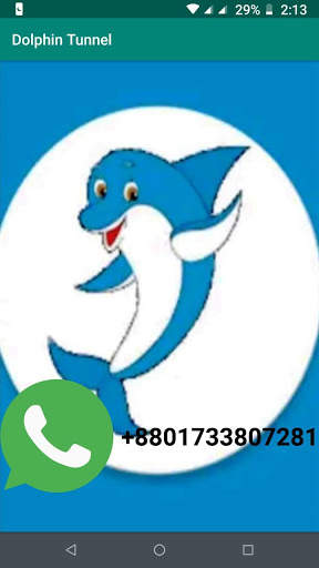 Dolphin Tunnel screenshot 5