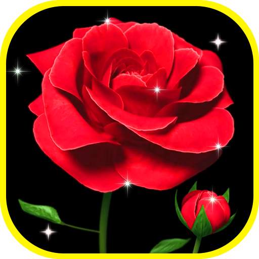 Rose Live 3D Wallpaper 3.0