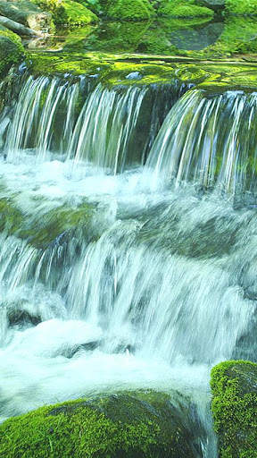 Green Stream HD Video Free screenshot 2