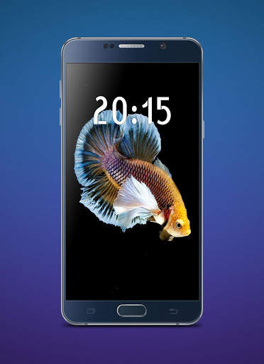 Betta Fish Wallpaper screenshot 5