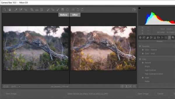 Adobe Photoshop :Photo Editor Collage Maker Guide screenshot 4
