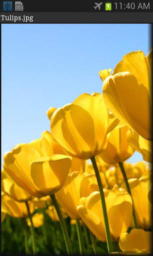 Visual Shell 7 تصوير الشاشة