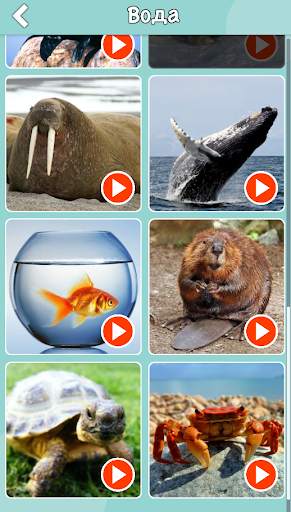 Animal Sounds, Animal Language, Animal Voice screenshot 13