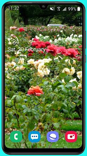 100 Garden Wallpaper HD screenshot 12