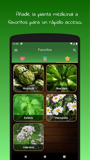 myRemedy: Plantas medicinales y sus usos screenshot 7