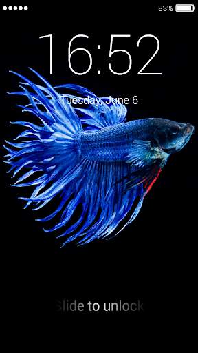 Betta Fish Lock Screen 4 تصوير الشاشة
