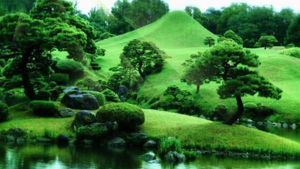 Zen Garden Live Wallpaper screenshot 6