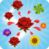 Blossom Crush icon