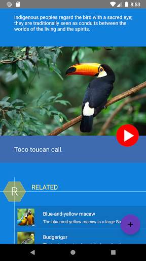 Wild Birds Atlas screenshot 6