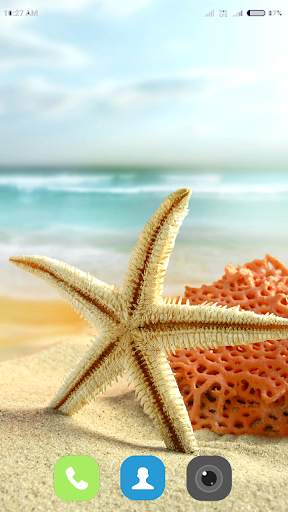 Starfish Wallpaper 4K screenshot 4