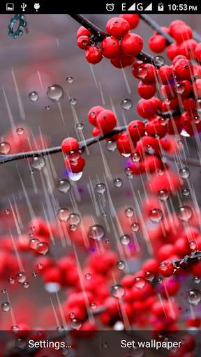 Drops Rain Live Wallpaper screenshot 6