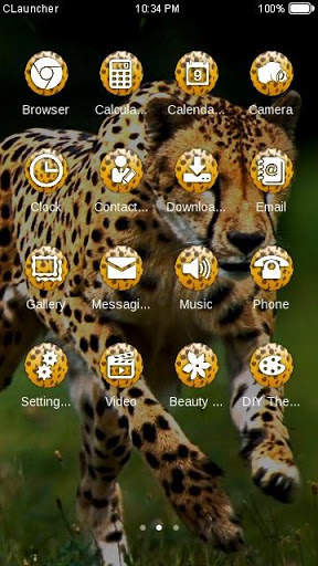 Wild Cheetah  Animal Theme HD screenshot 2
